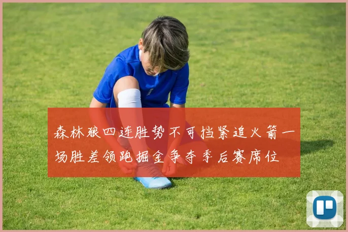 森林狼四连胜势不可挡紧追火箭一场胜差领跑掘金争夺季后赛席位