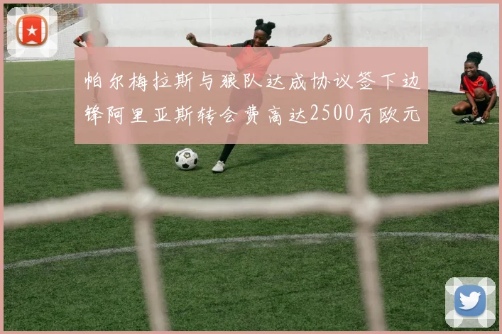 帕尔梅拉斯与狼队达成协议签下边锋阿里亚斯转会费高达2500万欧元