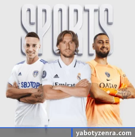 五大服务分区,信息按项目分类(YaboSportsApp)