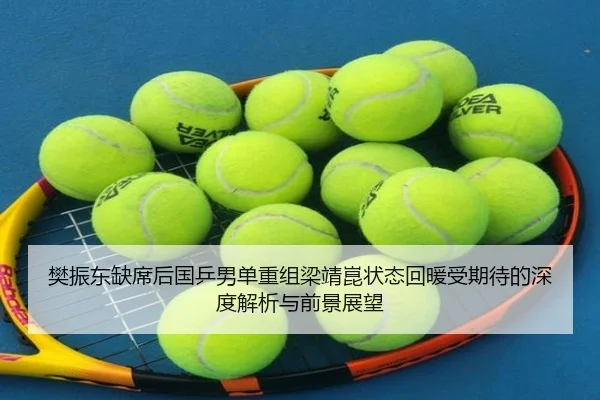 樊振东缺席后国乒男单重组梁靖崑状态回暖受期待的深度解析与前景展望 | YaboSportsApp